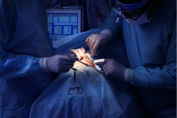 Blefaroplastia – saiba mais sobre a cirurgia às pálpebras
