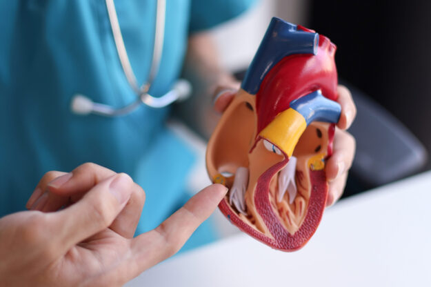BLOG-clinialba-doencas-cardiovasculares